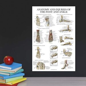 Palace Learning Laminated Anatomy and Injuries of the Foot and Ankle Poster - Anatomical Chart of Foot and Ankle Joint - 18" x 24"