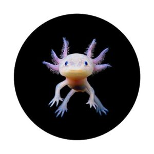 Axolotl Mexican Walking Fish Cute Amphibian Axolotl PopSockets PopGrip: Swappable Grip for Phones & Tablets