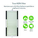 Hunter Fan Company HP100BLS Air Purifier, Black & Silver