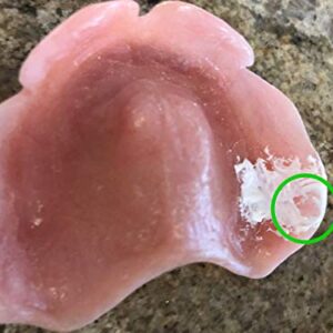 Denture Sore Spot Find And Remove Kit