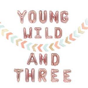 jevenis young wild and three balloon young wild and three banner young wild and three decorations for girl third birthday decorations 3 year old birthday decor 3rd birthday balloon