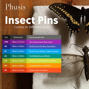Phusis Stainless Steel Insect Pins | Size #1 | 300 Pieces| 3 Vials of 100 Pins | Includes Sturdy Storage Containers | for Entomology, Dissection, Butterfly Collections