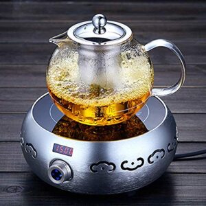 Warmyee Hofu Small Clear High Borosilicate Glass Tea Pot with Removable 304 Stainless Steel Infuser, Heat Resistant Loose Leaf Teapot,Stovetop Safe, 660 ml/22.3 Ounce.