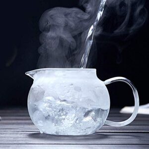 Warmyee Hofu Small Clear High Borosilicate Glass Tea Pot with Removable 304 Stainless Steel Infuser, Heat Resistant Loose Leaf Teapot,Stovetop Safe, 660 ml/22.3 Ounce.