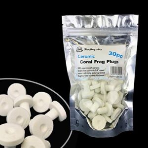 reefing art ceramic coral frag plugs 30 pack tiles for sps lps