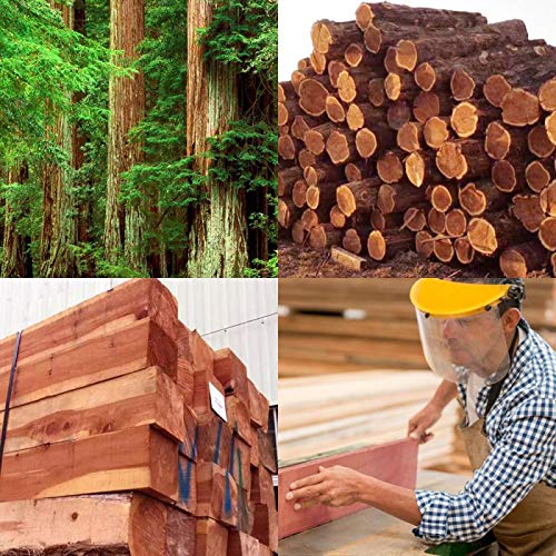 Homode Cedar Blocks for Clothes Storage, Scent Sachets for Drawers and Closets, Aromatic Cedar Wood Chips Shavings Bags, Cedarwood Hanger Rings, Pack of 10