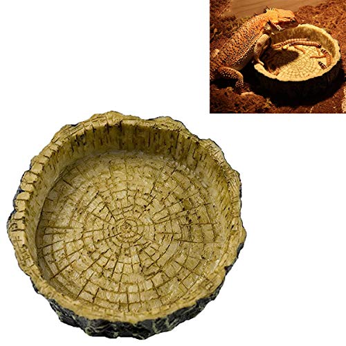 Ailindany Reptile Bowl Tortoise Water Dish Food Bowl Feeders Water Dish Resin Made for Amphibians Gecko Snakes Lizard Chameleon