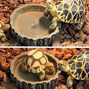 Ailindany Reptile Bowl Tortoise Water Dish Food Bowl Feeders Water Dish Resin Made for Amphibians Gecko Snakes Lizard Chameleon