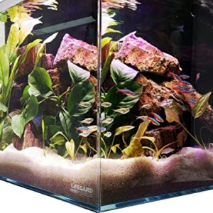 LIFEGARD Low Iron Ultra Clear Crystal Aquarium with Built in Filter – Rimless Glass, Beveled Edge, Elevated Style – Direct Jet Flow – 8.3 GPH