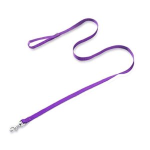 AMAGOOD 6 FT Puppy/Dog Leash, Strong and Durable Traditional Style Leash with Easy to Use Collar Hook,Dog Lead Great for Small and Medium and Large (Purple,5/8" x 6 Feet)