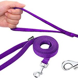 AMAGOOD 6 FT Puppy/Dog Leash, Strong and Durable Traditional Style Leash with Easy to Use Collar Hook,Dog Lead Great for Small and Medium and Large (Purple,5/8" x 6 Feet)