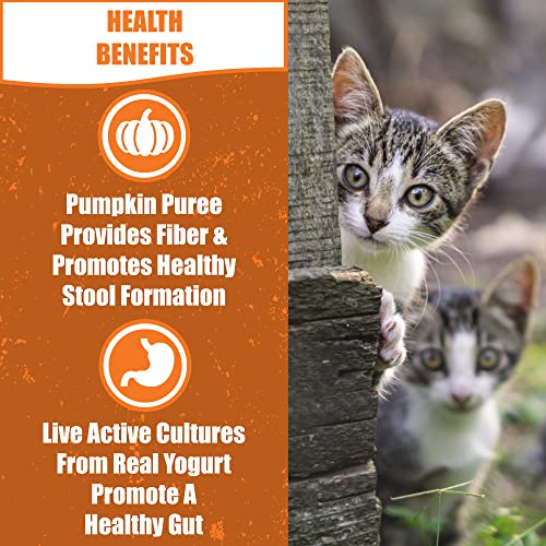 Whole Life Pet Living Treats for Cats – Healthy Gut with Chicken and Yogurt – Human Grade, Probiotics, Easy Digestion, Sensitive Stomachs - Made in The USA