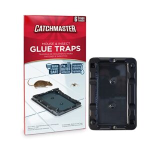 mouse & insect glue traps by catchmaster - 6 rodent pre-baited trays, ready to use indoors. bug sticky adhesive killer exterminator easy no-mess non-toxic - made in the usa