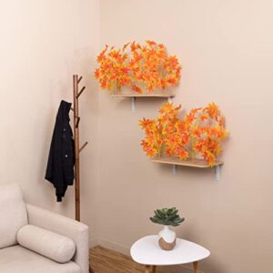 On2Pets Cat Shelves Wall-Mounted Cat Trees Cat Furniture for Climbing, Playing and Relaxing, Set of 2, Indoor Cat Shelf Made in USA… (Orange Blaze, Rectangle)