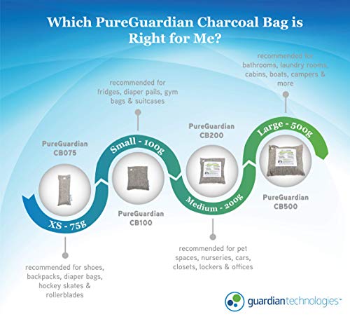 PureGuardian Guardian Technologies CB200 Bamboo Charcoal Air Purifying Bag, Eco-Friendly, Naturally Absorbs Odors, Excess Moisture and Pollutants, 200g, Gray