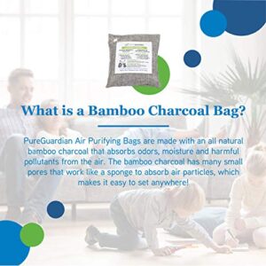 PureGuardian Guardian Technologies CB200 Bamboo Charcoal Air Purifying Bag, Eco-Friendly, Naturally Absorbs Odors, Excess Moisture and Pollutants, 200g, Gray