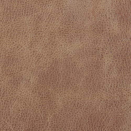 Amazon Brand – Stone & Beam Rosewood Button-Tufted Leather Wingback Accent Chair, 30"W, Cognac