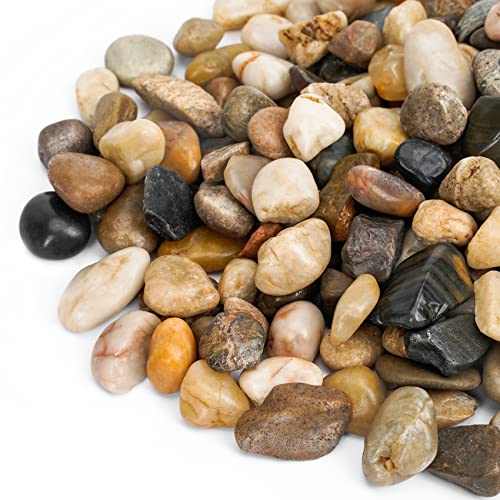 Mr. Fireglass Polished Pebbles Decorative Natural Stones Mixed Aquarium Gravel River Rocks, 3/8 inch, 5 Pounds