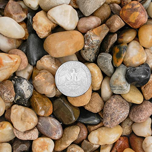 Mr. Fireglass Polished Pebbles Decorative Natural Stones Mixed Aquarium Gravel River Rocks, 3/8 inch, 5 Pounds