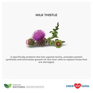 Milk Thistle for Dogs and Cats – Liver Support for Dogs and Cats, Milk Thistle Liver Detox, Dog Liver Supplement, Supplements for Dogs and Cats, Cat and Dog Detox – 2oz (60ml)