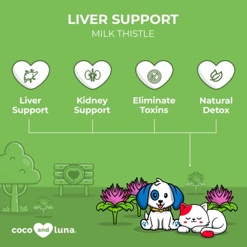 Milk Thistle for Cats, Liver Support for Cats, Detox, Hepatic Support, Promotes Liver Healthy Function for Pets, Kidney Support