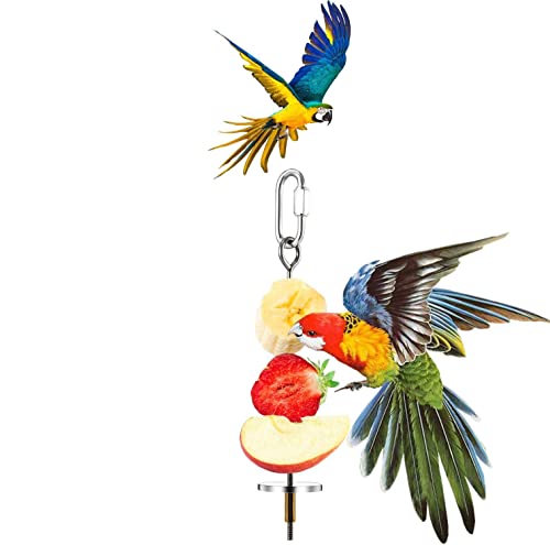 Parrot Fruit Holder, Stainless Steel Bird & Small Animals Stainless Steel Fruit Vegetable Holder Foraging Toy Bird Treat Skewer(#2)