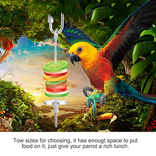 Parrot Fruit Holder, Stainless Steel Bird & Small Animals Stainless Steel Fruit Vegetable Holder Foraging Toy Bird Treat Skewer(#2)