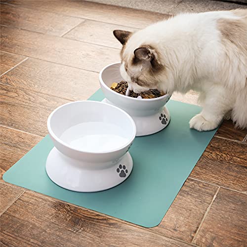 Raised Cat Bowl Elevated Slow Feeder Solve Vomiting Melamine Stress Free Pet Feeder and Waterer,Backflow Prevention, Gift for Cat