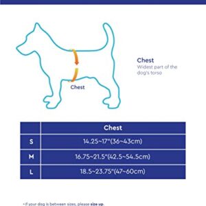 Gooby Simple Step in III Harness - Blue, Medium - Small Dog Harness with Scratch Resistant Outer Vest - Soft Inner Mesh Harness for Small, Medium Dogs