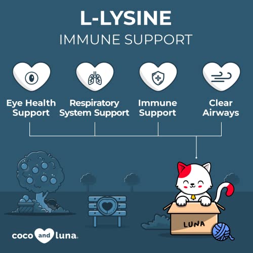 L-Lysine Supplement for Cats 4oz/120g - Cat Supplement for Sneezing and Runny Nose, Cat Cold, Cat Immune Support, Eye Function and Respiratory Health – Lysine Powder for Cats, Salmon Flavor