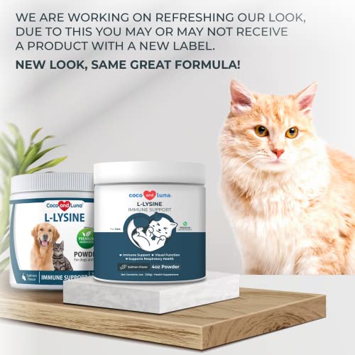 L-Lysine Supplement for Cats 4oz/120g - Cat Supplement for Sneezing and Runny Nose, Cat Cold, Cat Immune Support, Eye Function and Respiratory Health – Lysine Powder for Cats, Salmon Flavor