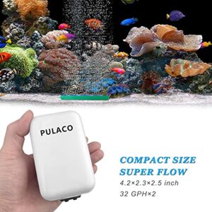 PULACO Corded Electric Ultra Quiet Aquarium Air Pump Dual Outlet, Fish Tank Aerator Pump with Accessories, for Up to 100 Gallon Tank