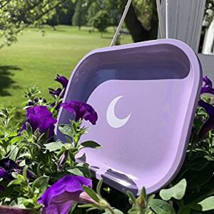 Metal Tray Small Purple Lightweight Tray - Curved Edges and Smooth Surface - 5.5 x 7 inch - Travel