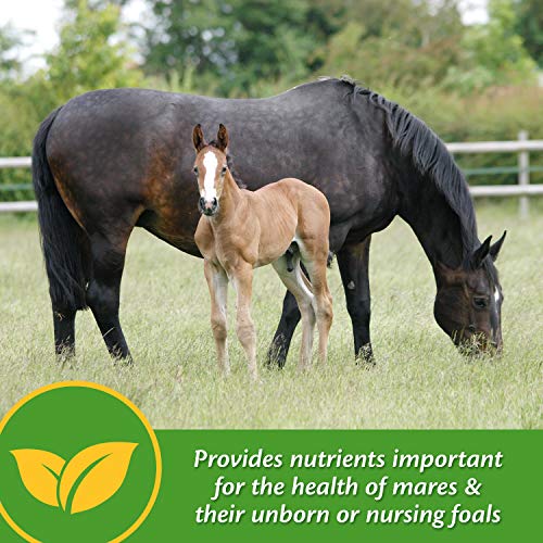 Farnam Mare Plus Gestation & Lactation Supplement 7.5 pounds, 60 Day Supply