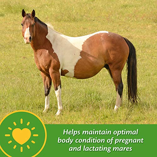 Farnam Mare Plus Gestation & Lactation Supplement 7.5 pounds, 60 Day Supply