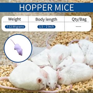 MiceDirect Frozen Hopper Mice Feeders Baby Ball Pythons & Red Tail Boas, Sub Adult Milks (50 Count)