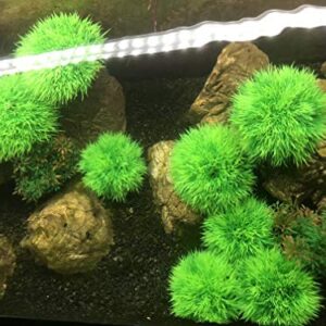 4Pcs Aquarium Decorations Fish Tank Artificial Green Water Plants Made of Soft Plastic