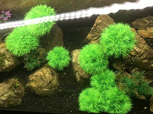 4Pcs Aquarium Decorations Fish Tank Artificial Green Water Plants Made of Soft Plastic