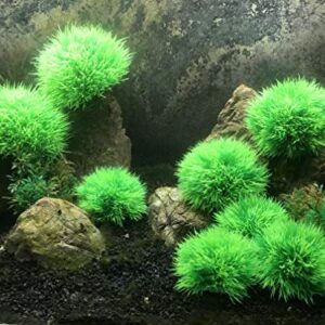 4Pcs Aquarium Decorations Fish Tank Artificial Green Water Plants Made of Soft Plastic