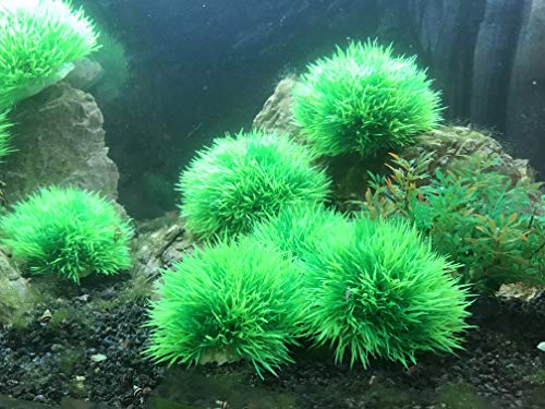 4Pcs Aquarium Decorations Fish Tank Artificial Green Water Plants Made of Soft Plastic