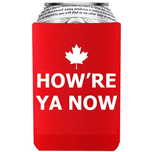 4 Pack Letterkenny Beer Coozie Merchandise Favorite Funny Sayings, How're Ya Now, Pitter Patter, Thats A Texas Sized 10-4, Allegedly Ostrich, Can Cooler Sleeves 16oz 24oz Beer Bottle