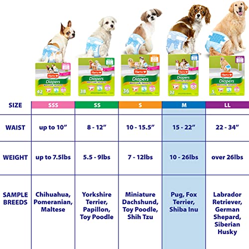 Disposable Dog Diapers with FlashDry Gel Technology - M, 32 Count