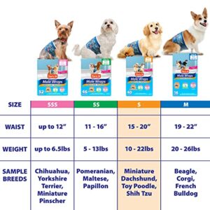 Disposable Male Dog Wraps with FlashDry Gel Technology, S 40 count