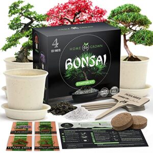 bonsai tree kit, grow your own: premium 4 bonsai trees starter kit | unique japanese gifts for moms who have everything, women, men | gardening plant gift for beginners & gardeners, crafts for adults