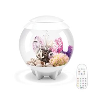 halo 15 aquarium with mcr light - 4 gallon, white