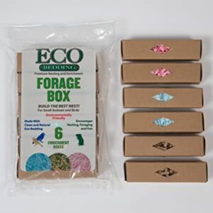 Eco-Forage Box Pack