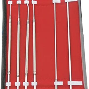 WDL 6 Pcs Equine Dental Pick Probe Scalers Veterinary Instruments Kit