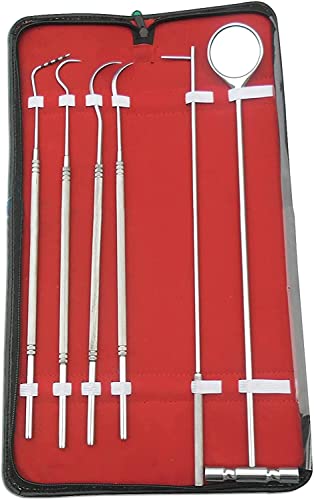 WDL 6 Pcs Equine Dental Pick Probe Scalers Veterinary Instruments Kit