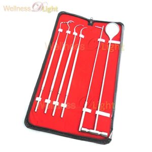 WDL 6 Pcs Equine Dental Pick Probe Scalers Veterinary Instruments Kit