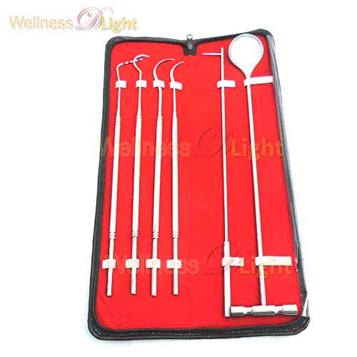 WDL 6 Pcs Equine Dental Pick Probe Scalers Veterinary Instruments Kit